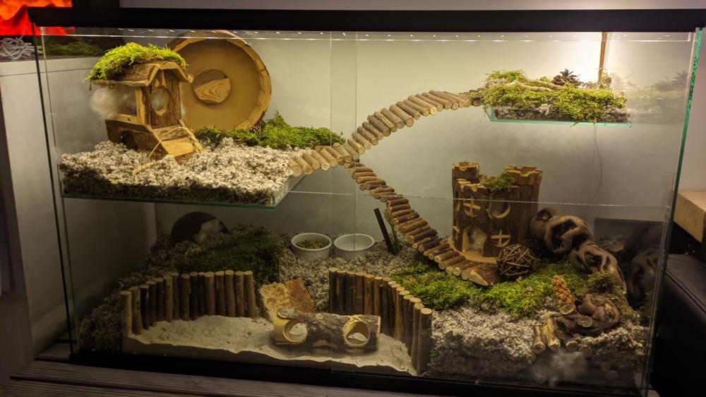 Gerbil terrarium met schuifruiten van glas zonder gezichtshinder