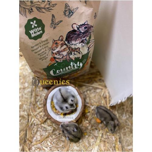 Dwerghamster voeding als basis