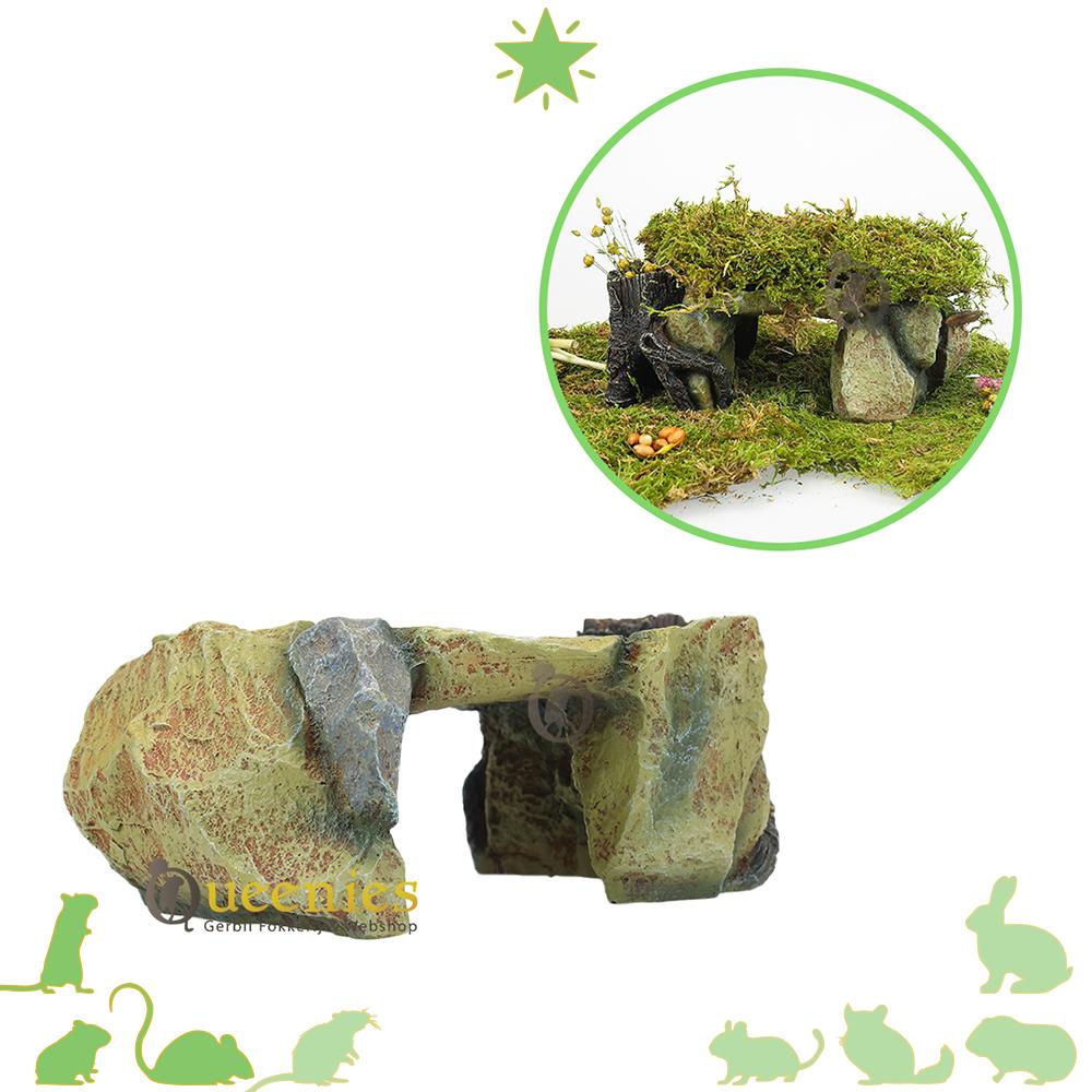 Rotsplateau met Boomstam voor hamsterscaping