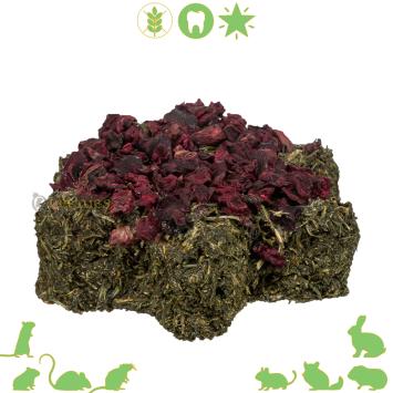 Gezonde groentesnack in stervorm met peterselie voor kleine knaagdieren