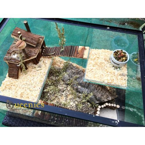 Glazen hamsterkooi goedkoop