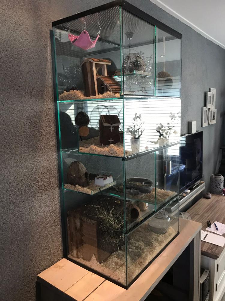 Degoe terrarium 60x40x120