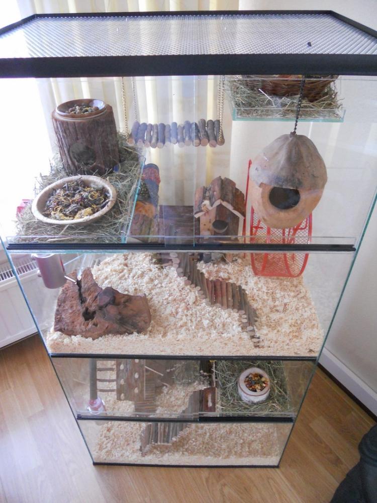 Degoe terrarium 60x40x120