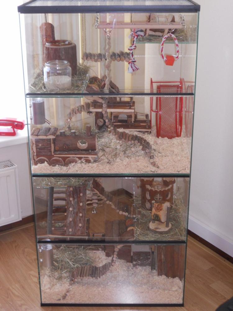 Degoe terrarium 60x40x120