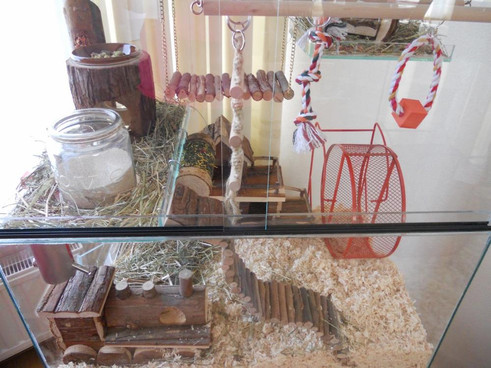 Degoe terrarium 60x40x120