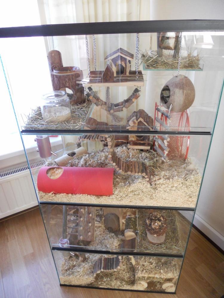 Degoe terrarium 60x40x120