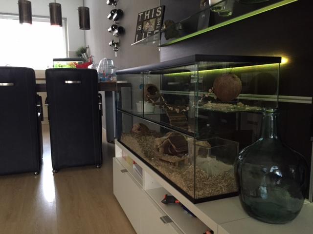 100x32x40 Gerbilarium