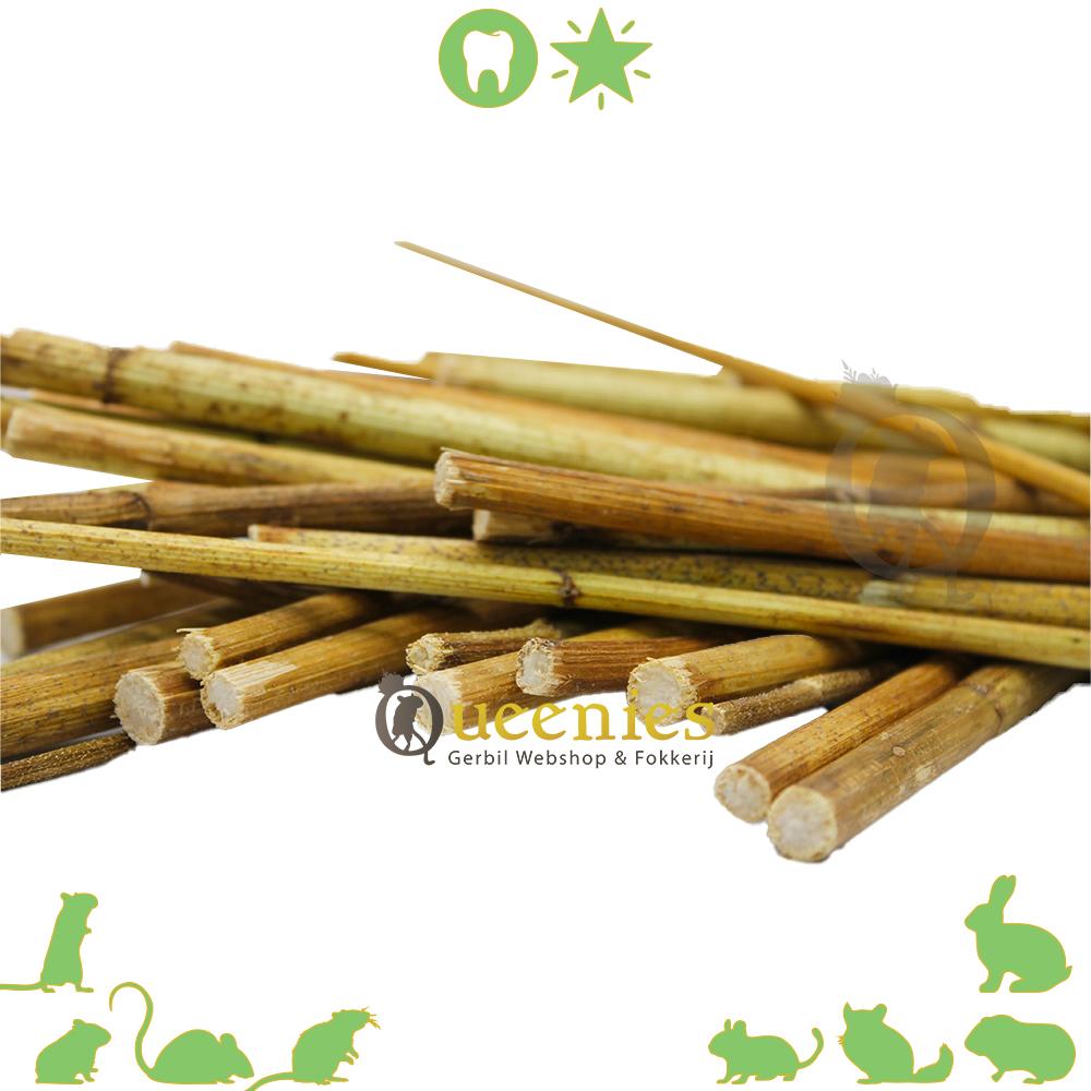 Topninamboer stokken voor Knaagdieren