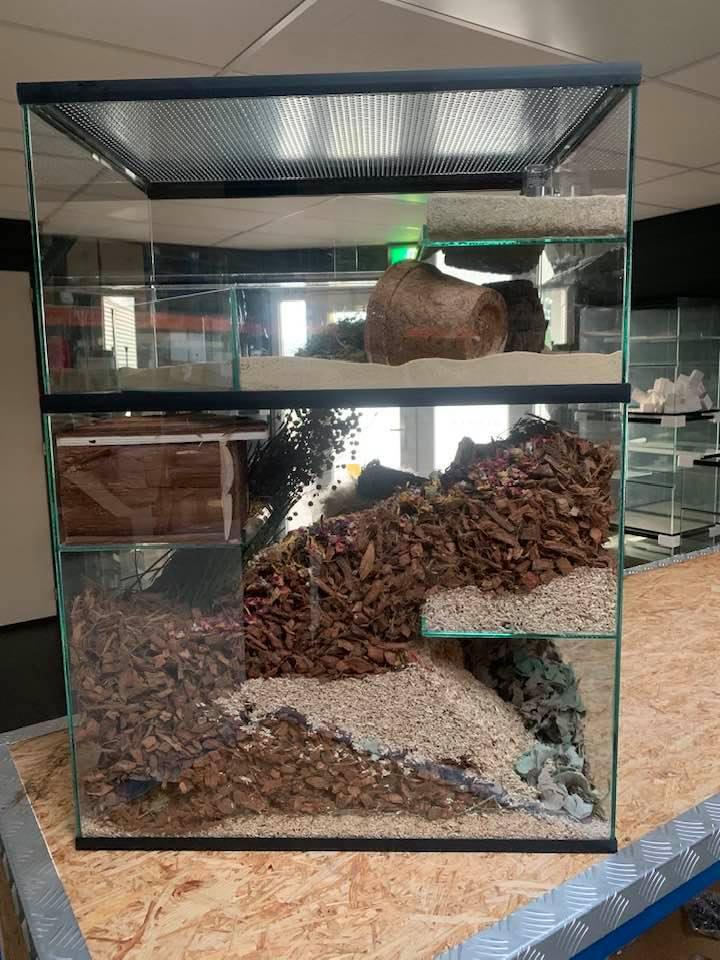 Gerbil informatie boekje