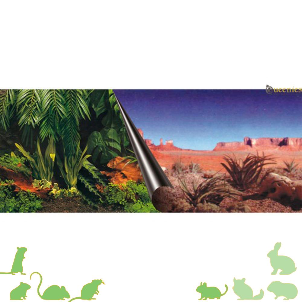 Regenwoud achterwand voor Terrarium / Gerbilarium