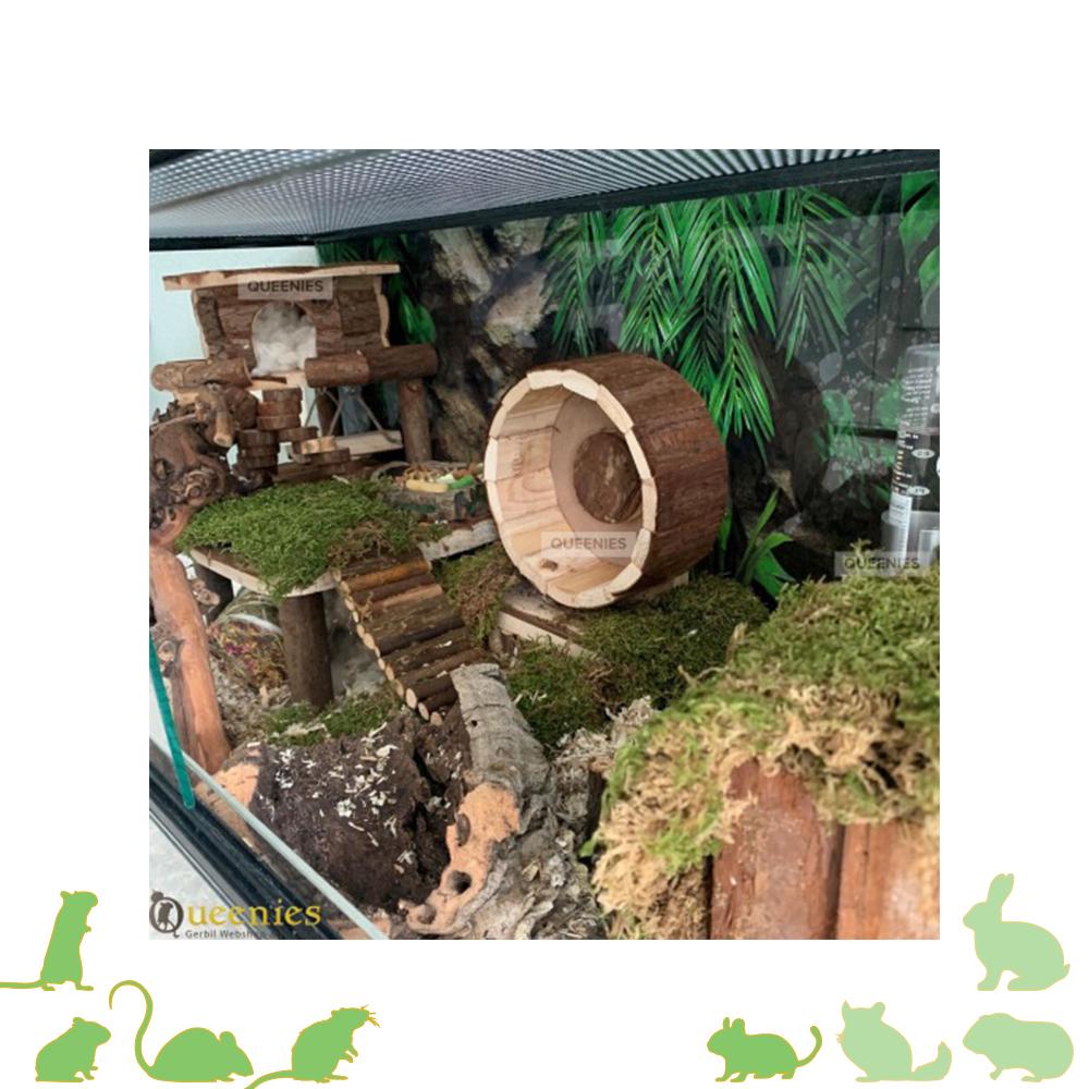 achterwand voor knaagdieren terrairum regenwoud