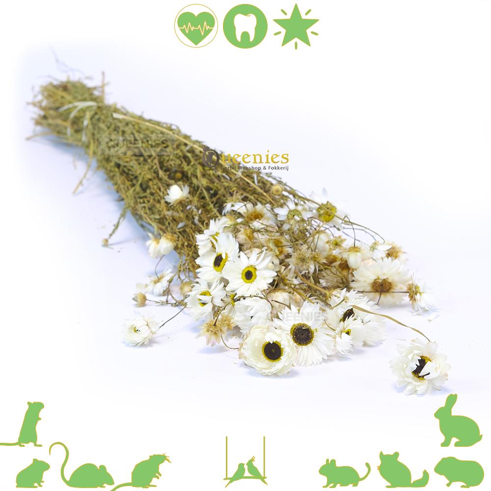 Papierbloem 150 gram - Bloemenbos in Hamsterscaping voor Knaagdieren