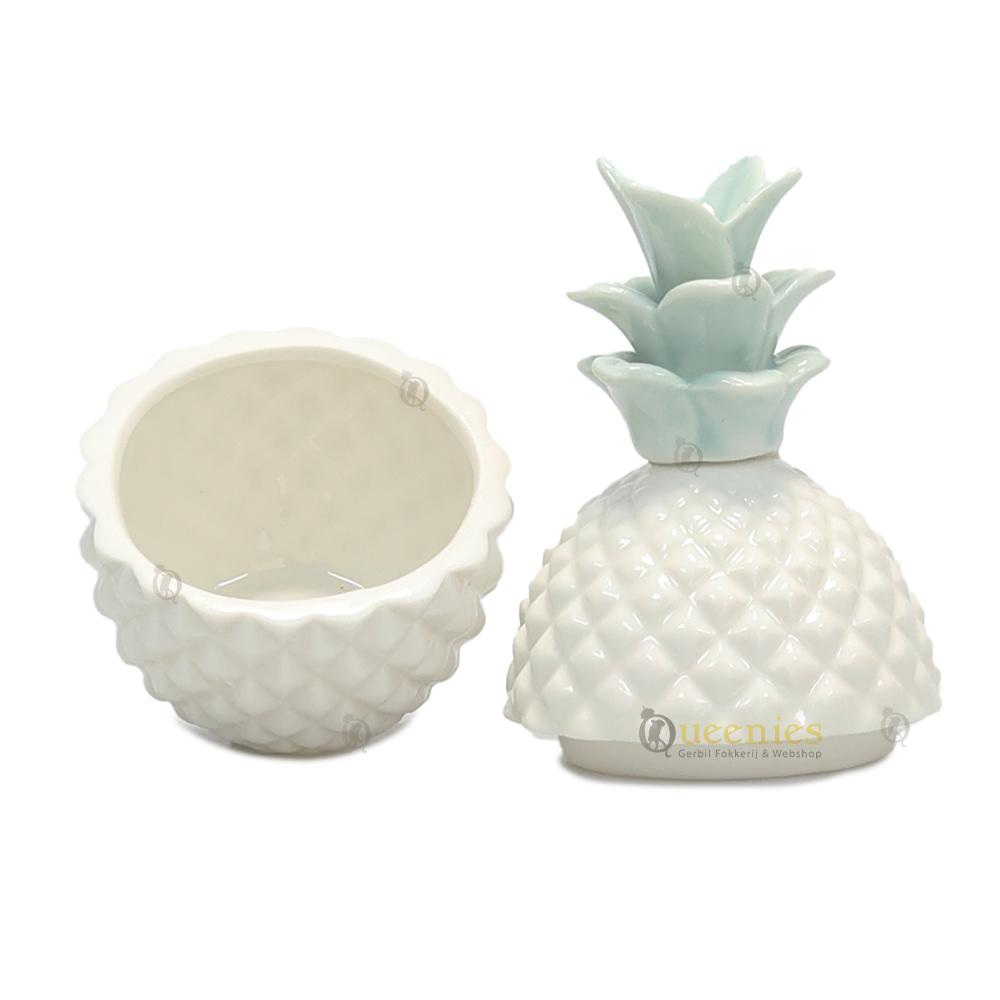 Ananas dierenkruiden voerbakje