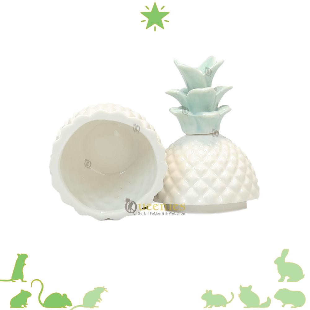Muizen voerbak van ananas