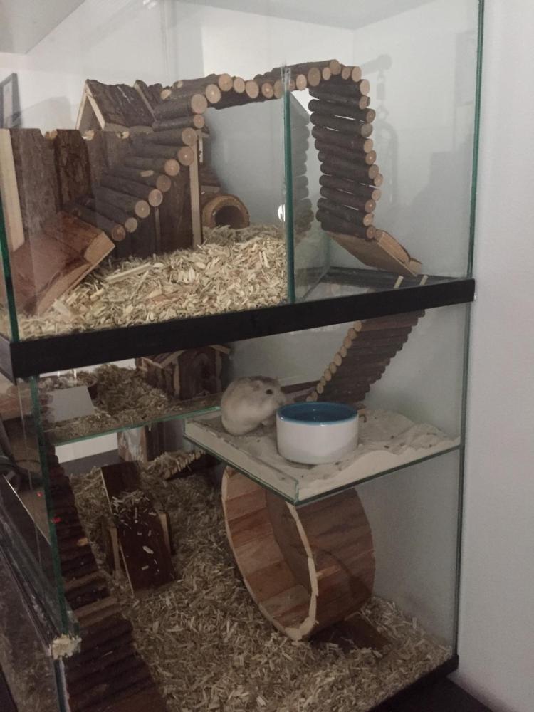 Opzetstuk Gerbilarium 60x40