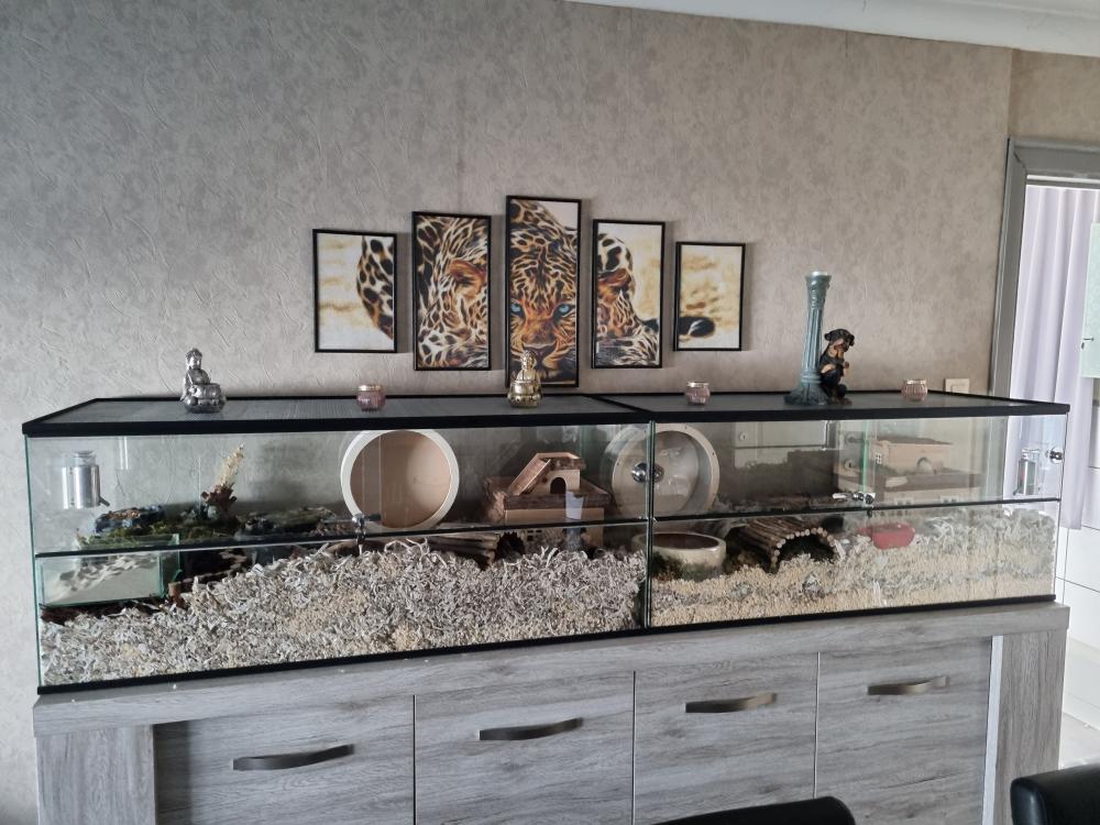 120x60x60 Hamster Terrarium met schuifruiten zonder plateaus