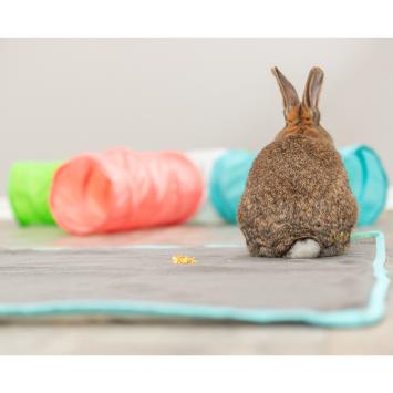 Tunnel met vier openingen voor konijn