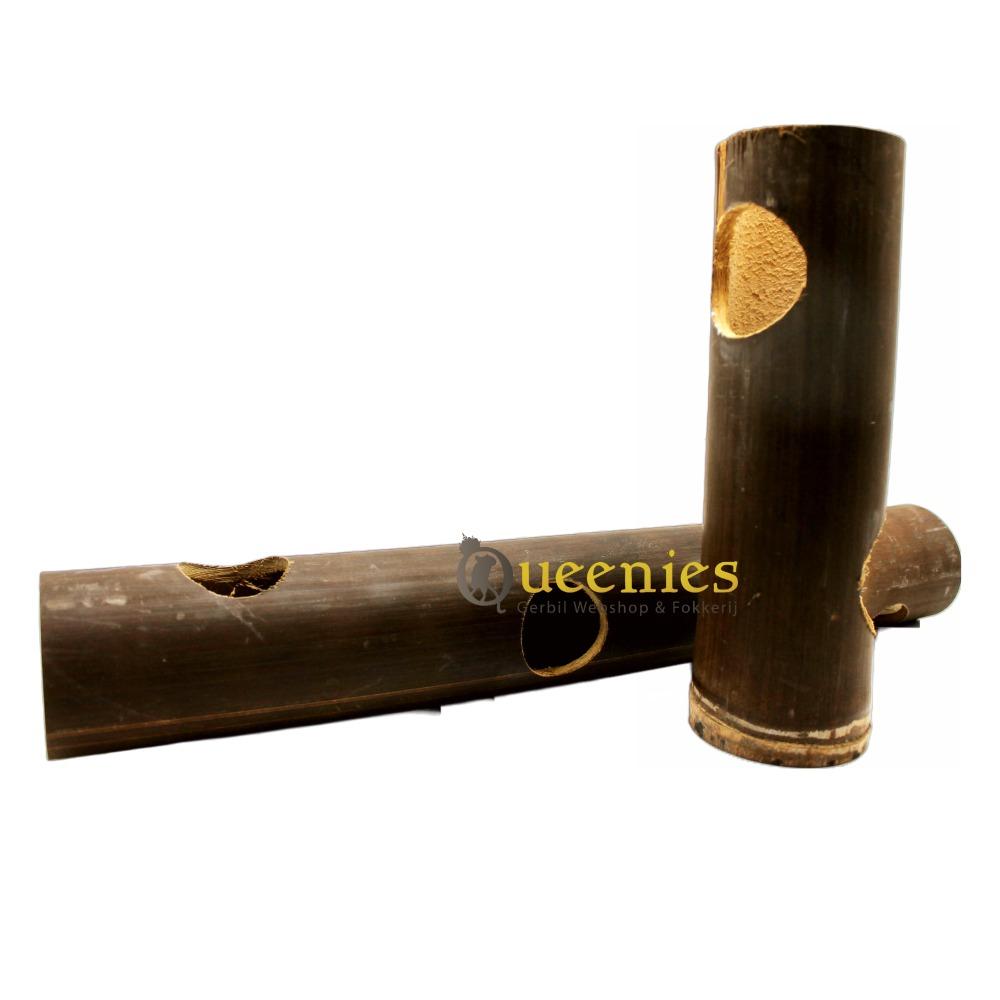 Java Bamboe tunnel voor knaagdier