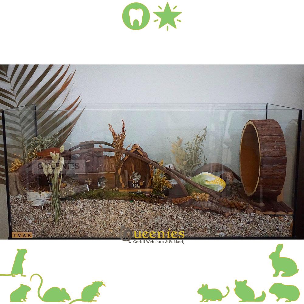 Bananentak in hamsterscaping