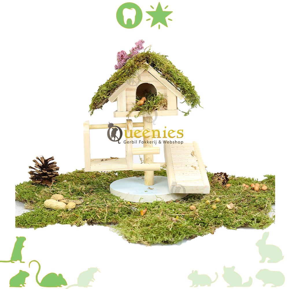 Hamster klimtorentje in Hamsterscape