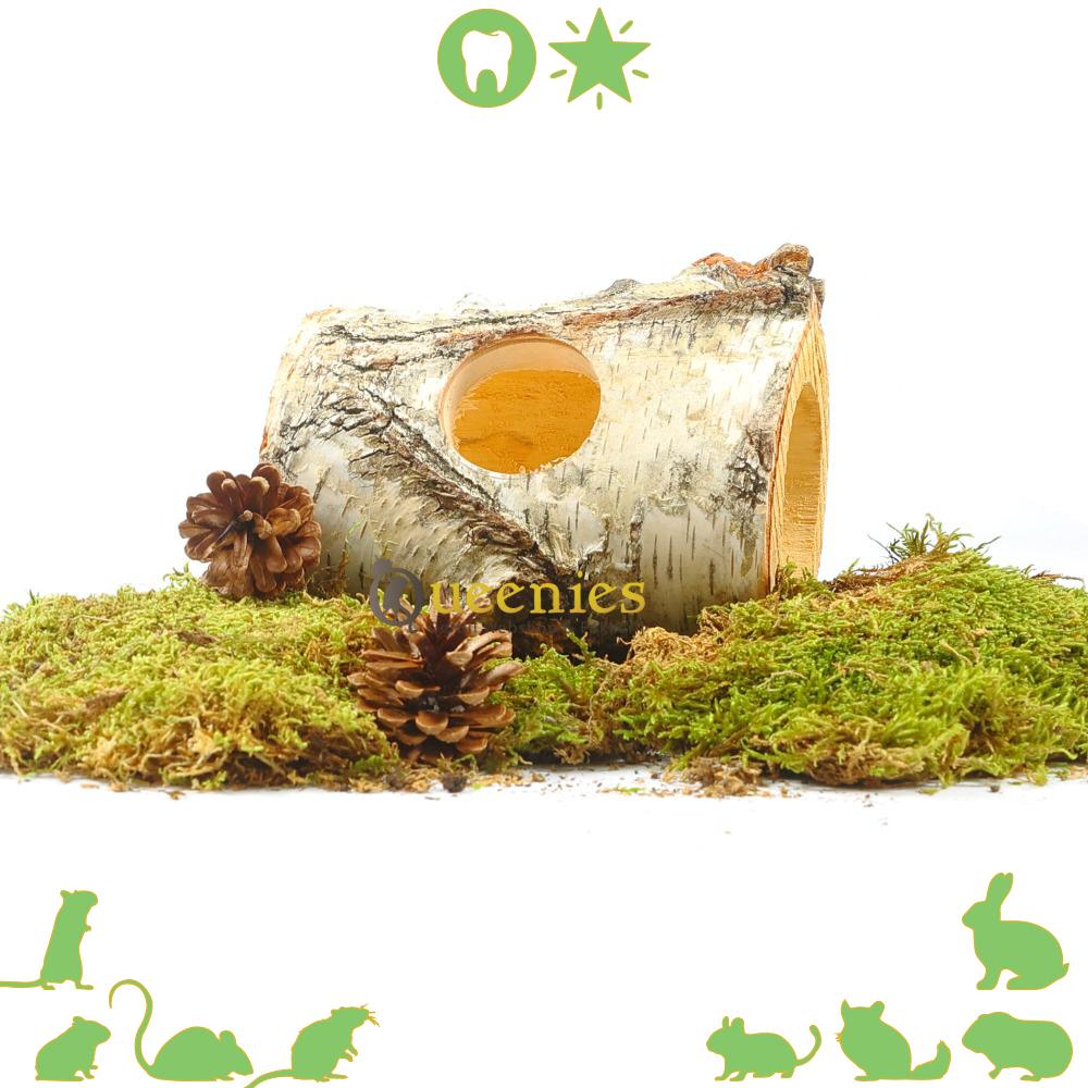 Knaagdieren tunnel van berkenhout