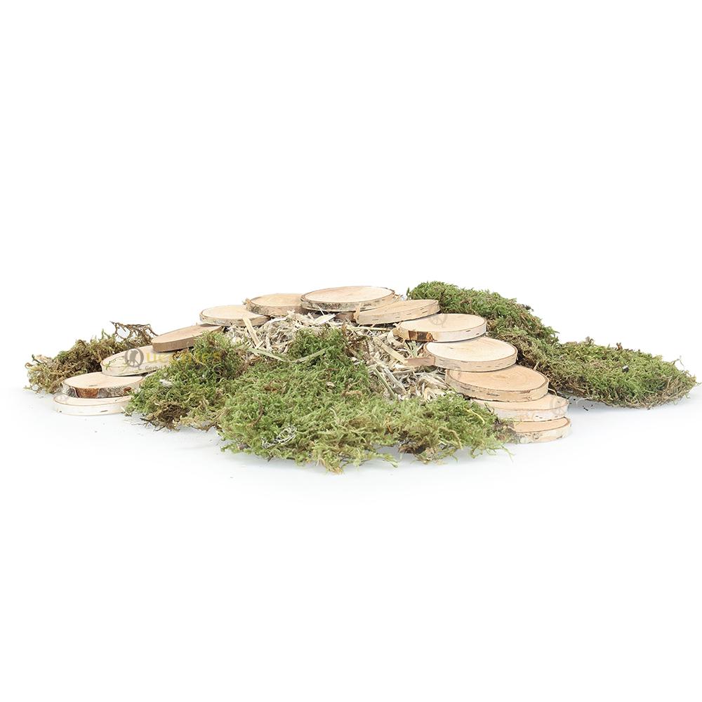 Knutselen met berkenschijfjes voor DIY Gerbil