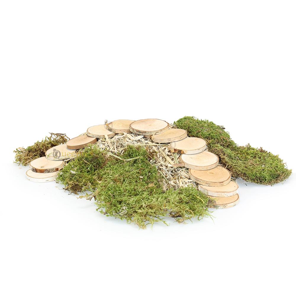 Berkenschijf klein voor Hamster DIY projecten