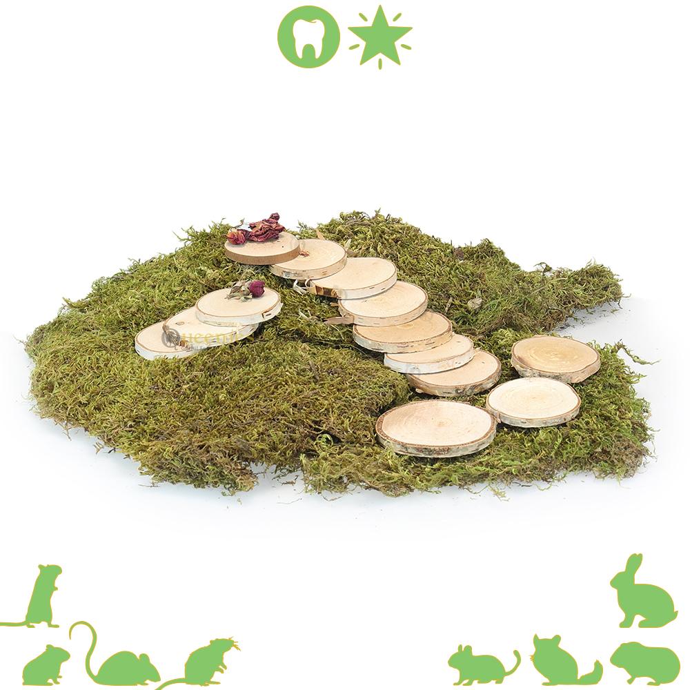 Hamsterscaping met Berken schijven klein