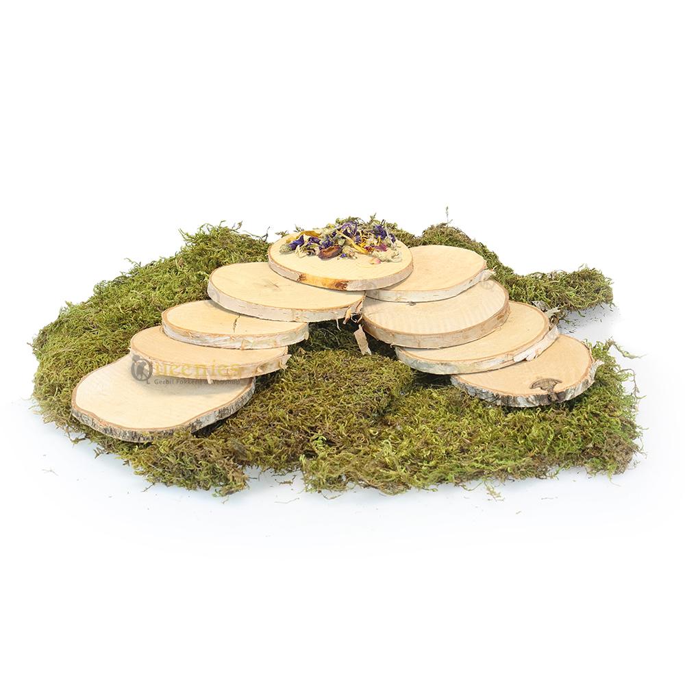 Berkenschijven voor hamsterscaping