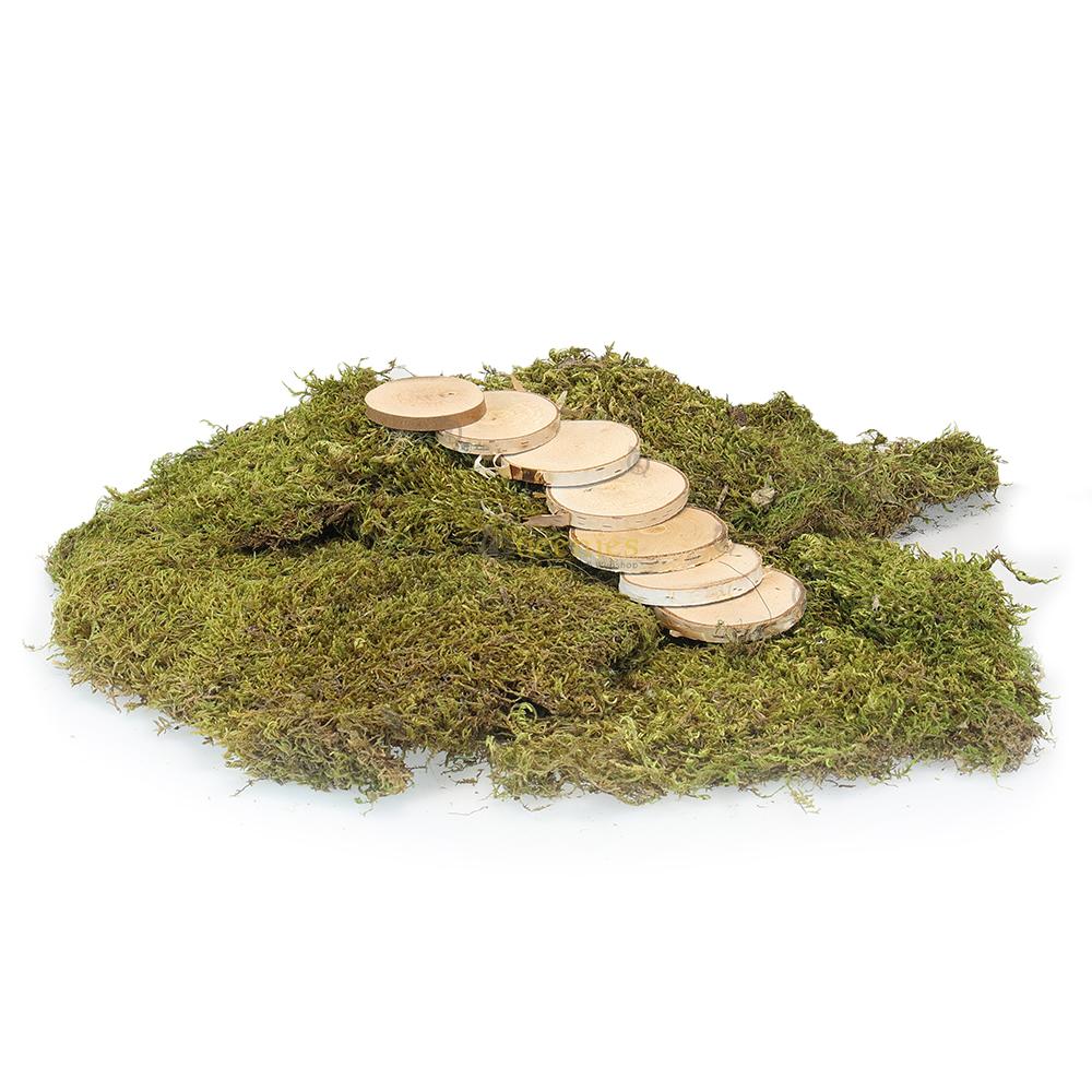 Hamsterscape berkenschijven voor Hamster DIY