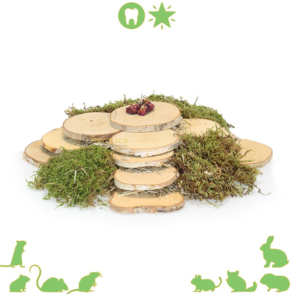 Grote berkenschijven voor Hamsterscaping