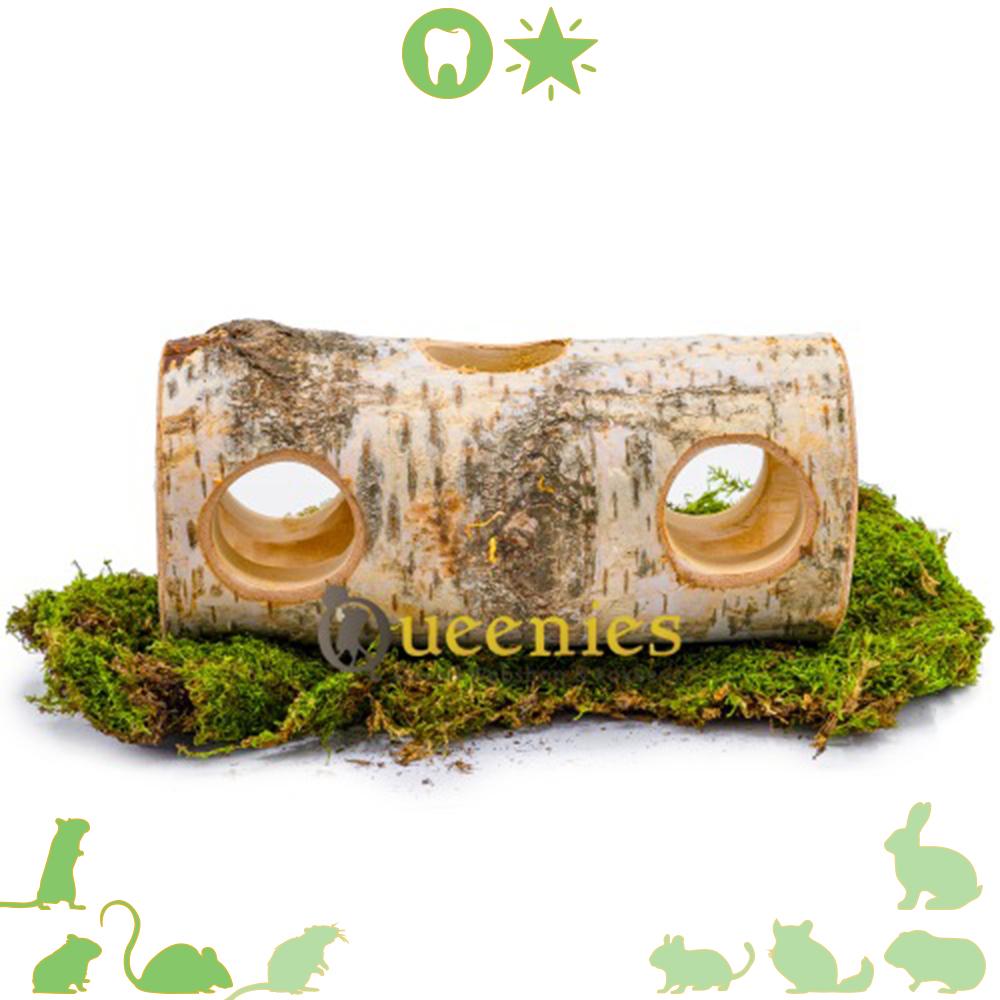 Berkentunnel 25 cm met meerdere gaten