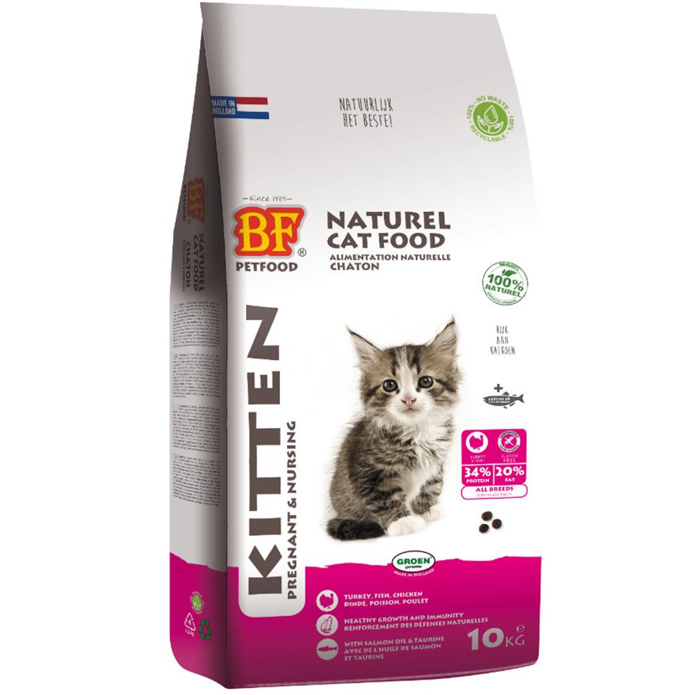 Voedzame kittenbrokjes voor gezonde groei en ontwikkeling