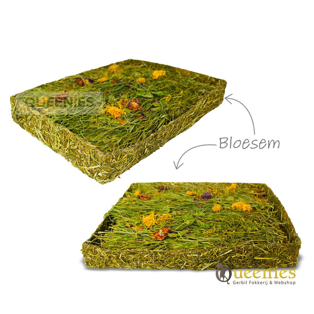 Weiland Bloesem voor Gerbils