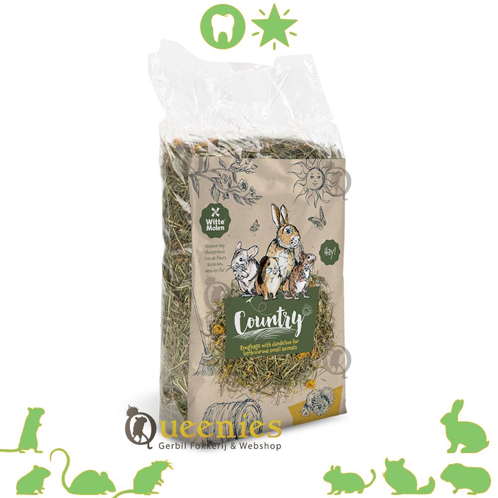 Paardenbloem hooi voor knaagdier