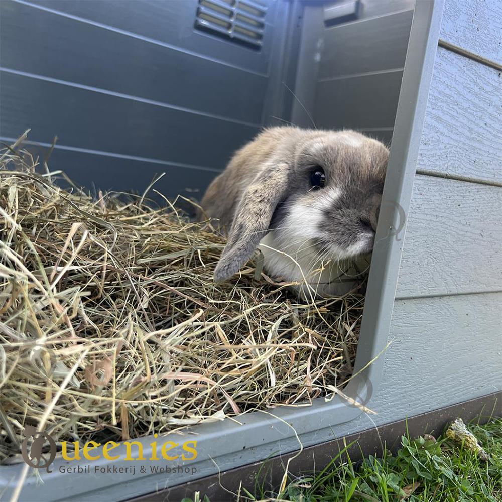 Tomaten kruidenhooi 500 gr