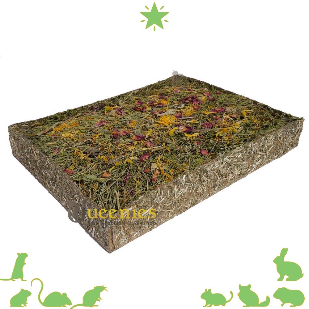 Mini Weiland - grasbed voor Knaagdieren