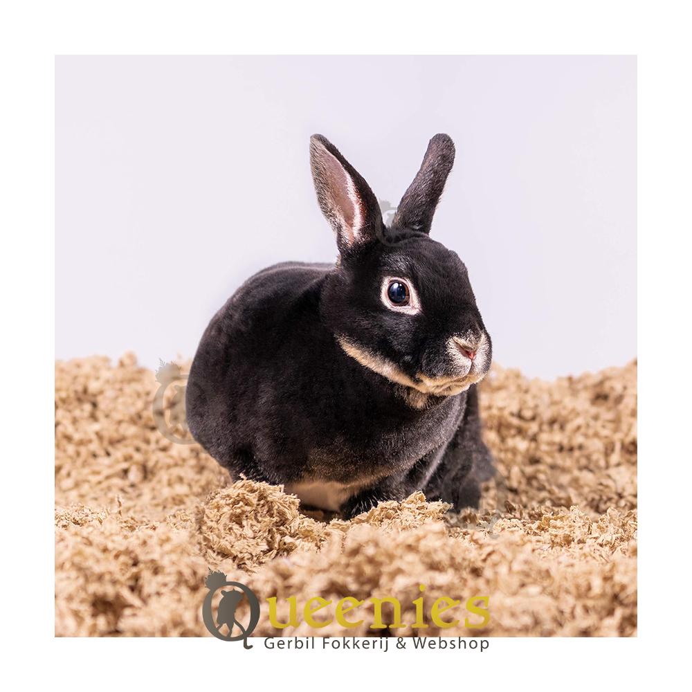 Uber Carefresh bodembedekking