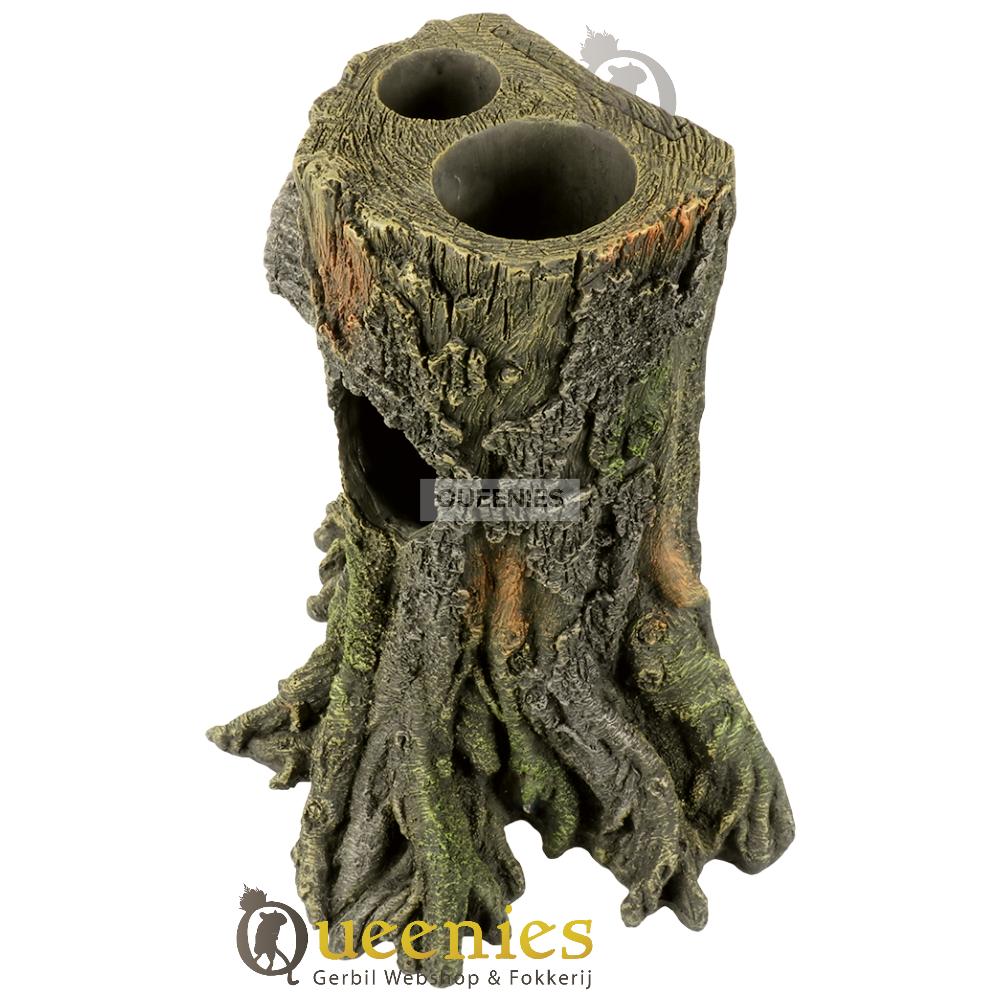 Natuurlijke inrichting voor Hamster Terrarium