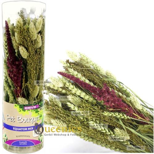 Pet Bouquet Koker Equator voor Dwerg en Goudhamsters