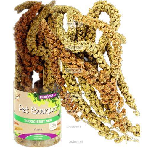 Pet Bouquet Koker Trosgierst mix met verschillende soorten