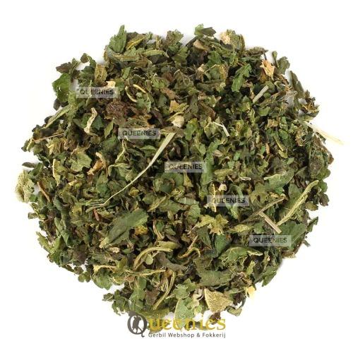 Brandnetel voedingssupplement voor Gerbils en Hamster