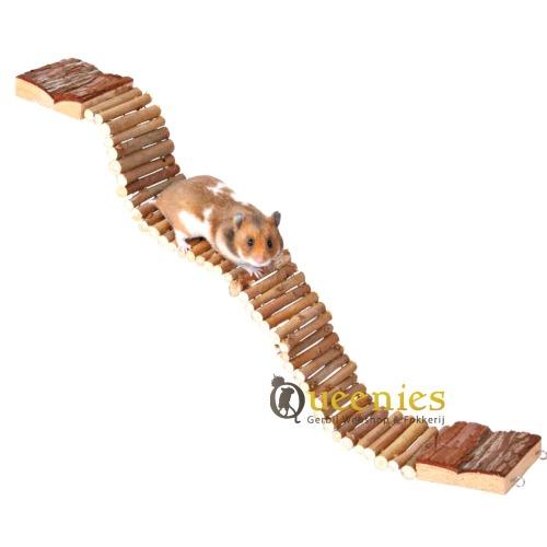 Trappen en ladders voor hamsters