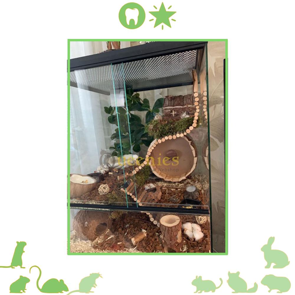 Natuurlijke inrichting met Buigzame ladder 55 cm