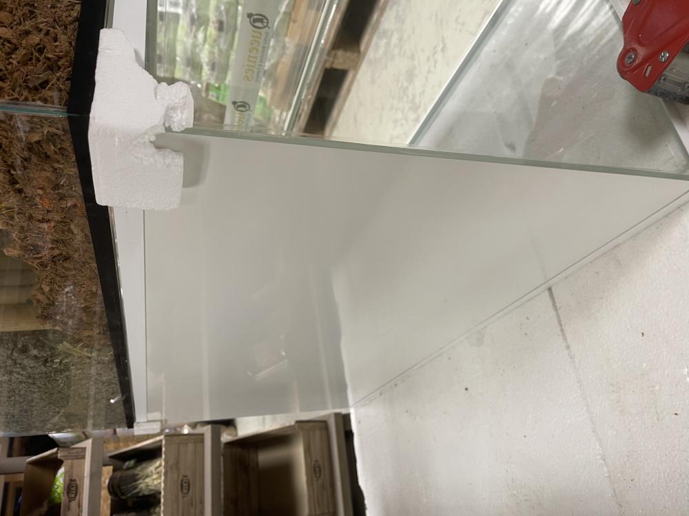 Terrarium met gekleurd glas