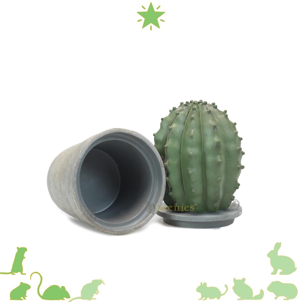 Cactus in Pot - Woestijndecoratie in Hamsterscaping