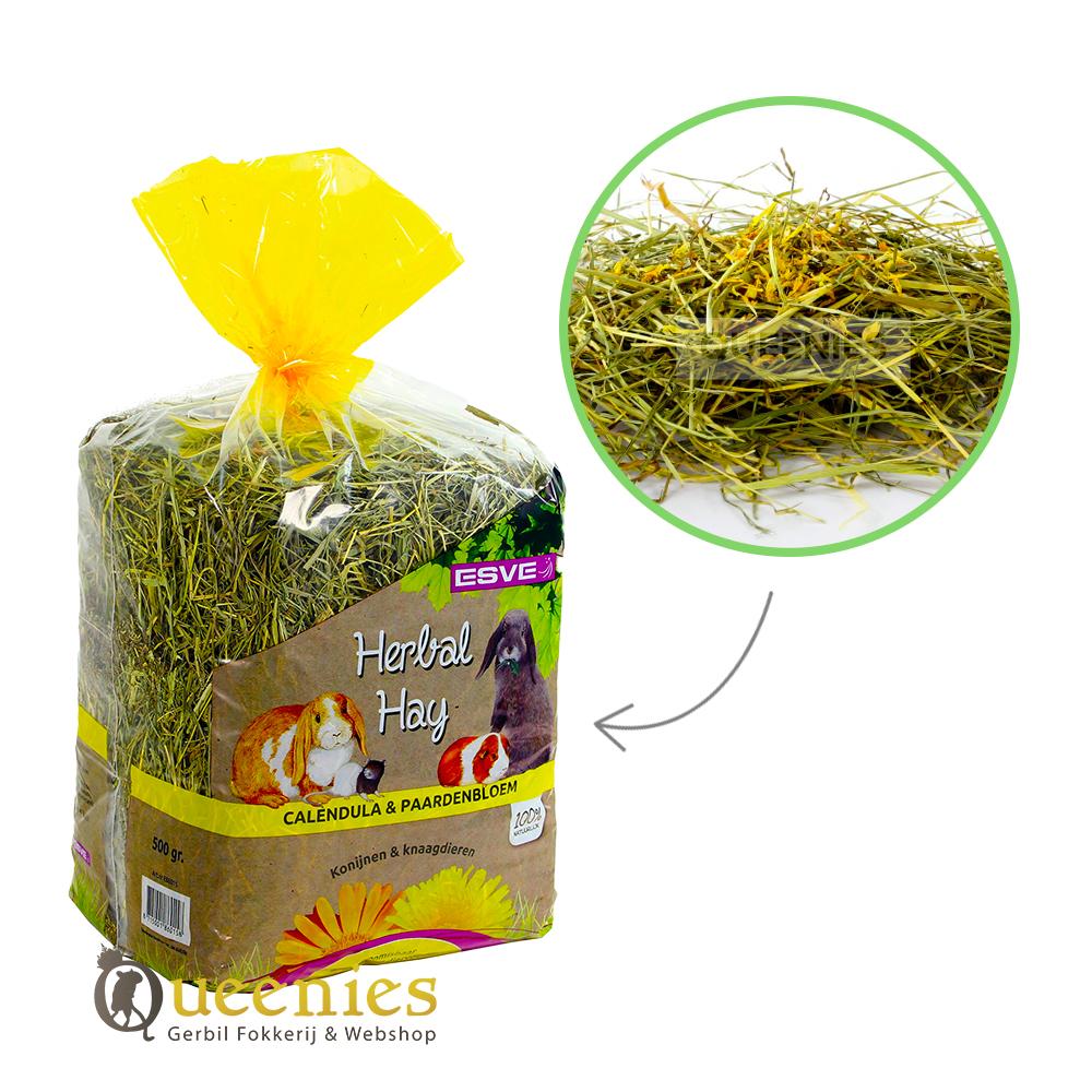 Goudsbloem hooi voor dwerghamster