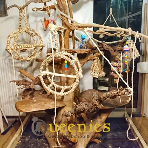 Wijnrank gezandstraald druiventak voor vogels