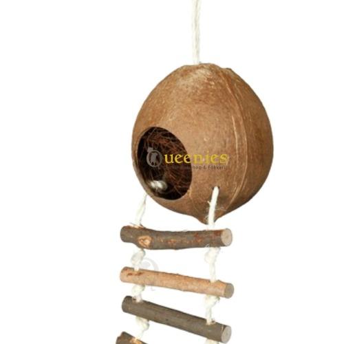 Kokosnoten voor Knaagdieren