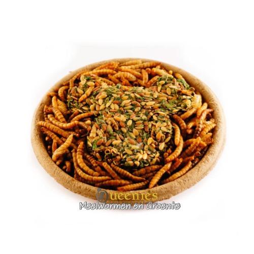 Snackbak met meelwormen voor Vogels